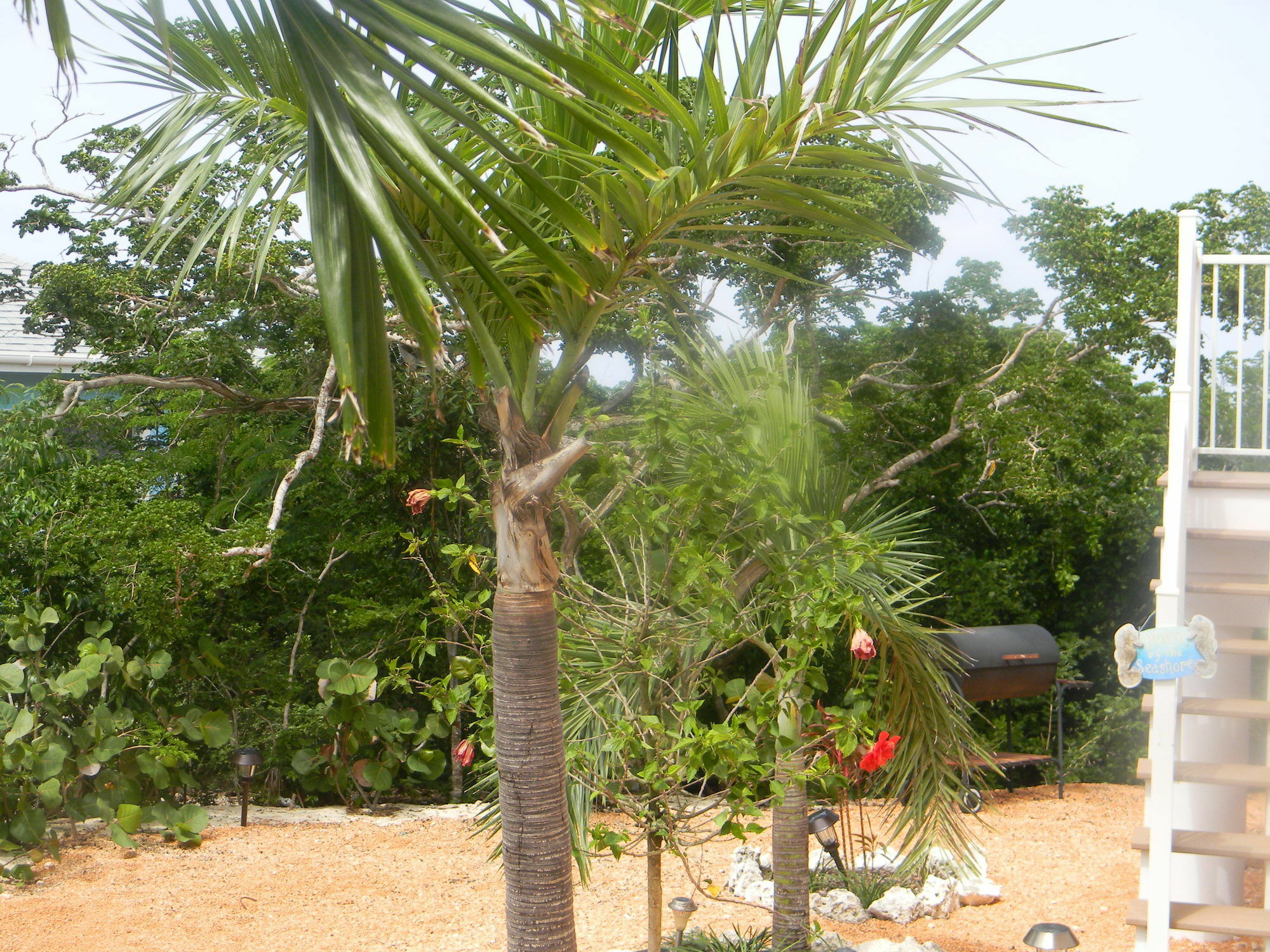 Harbor Breeze Villas Clarence Town Luaran gambar